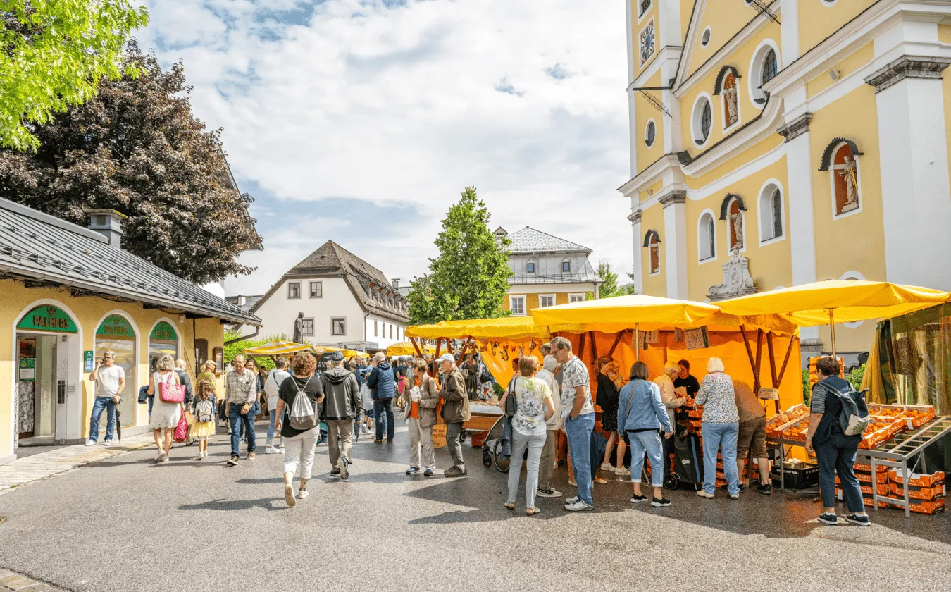 (c) PlaTo Wechselnde-Standbetreiber